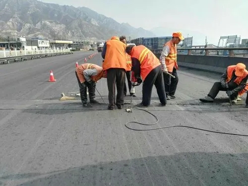 蕉岭道路桥梁病害治理